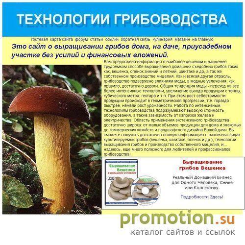 Архивное изображение: выращивание грибов