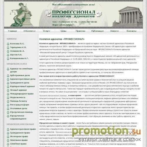 Архивное изображение: Профессионал - юридические услуги и консультации