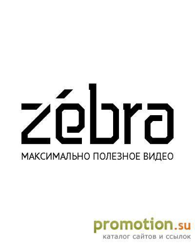 Архивное изображение: Zebra - видео для вашего бизнеса. Рекламное видео