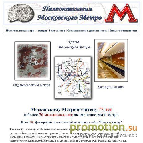 Архивное изображение: Палеонтология московского метро