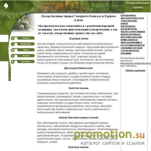Архивное изображение: Каштан конский