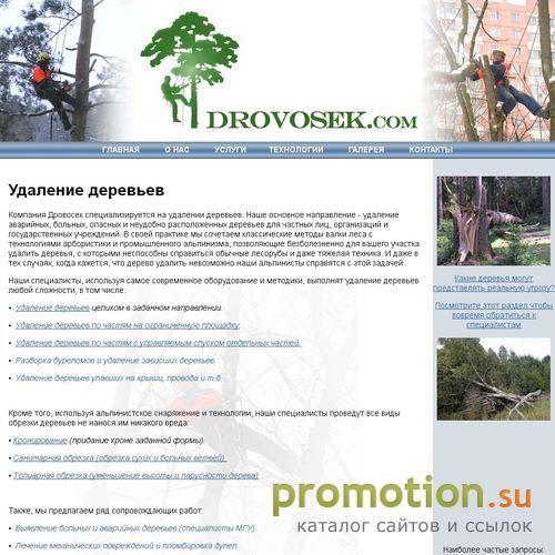 Архивное изображение: Выявление больных и аварийных деревьев