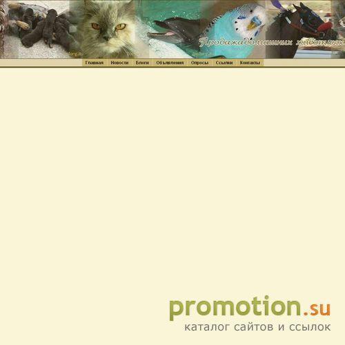 Архивное изображение: Продажа щенков, котят на ZooTorg