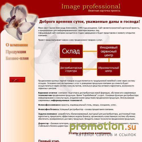 Архивное изображение: Новая МЛМ-компания