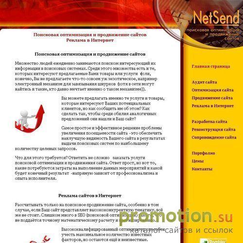 Логотип NetSend