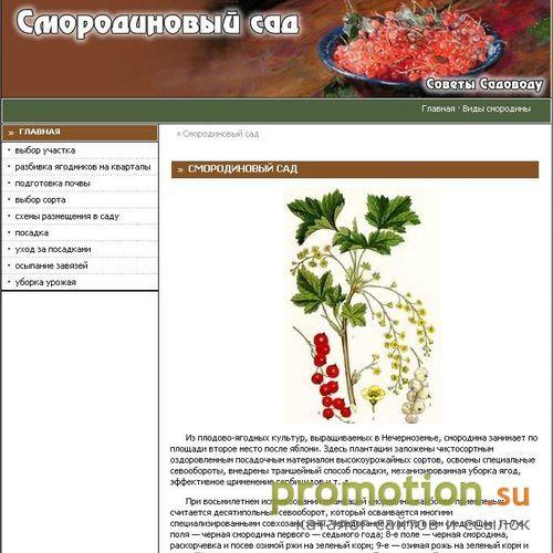 Архивное изображение: Смородиновый сад