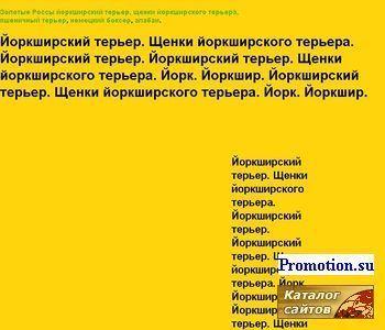 Архивное изображение: Йоркширский терьер.Питомник "Золотые Россы"