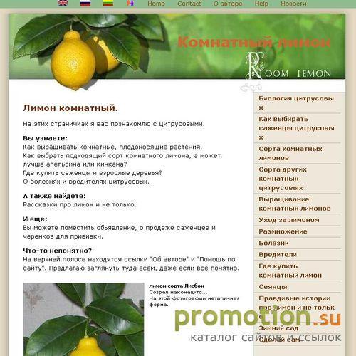 Архивное изображение: Комнатный лимон