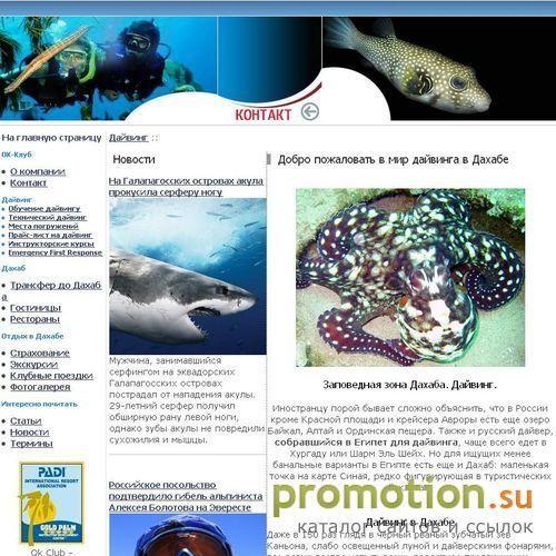 Архивное изображение: Дайвинг в Дахабе. Всё о дайвинге