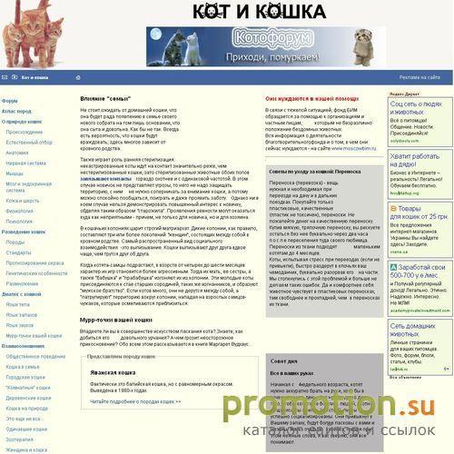 Архивное изображение: Кот и Кошка