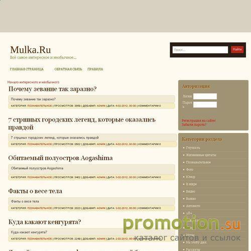 Архивное изображение: Оптимизация и раскрутка сайтов - Mulka.ru