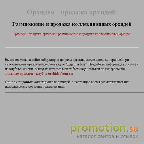 Архивное изображение: Орхидеи, продажа орхидей