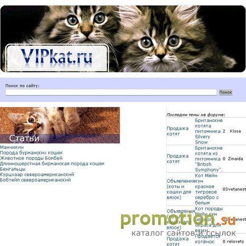 Архивное изображение: Каталог сайтов. Объявления по обмену ссылками