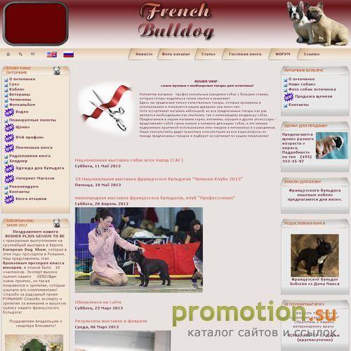 Архивное изображение: Французский бульдог