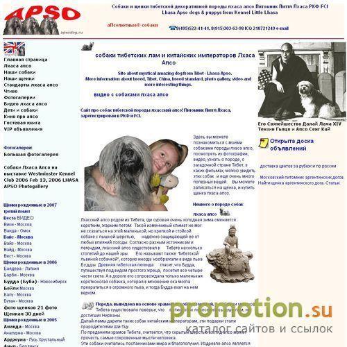 Архивное изображение: Лхасские Апсо в России