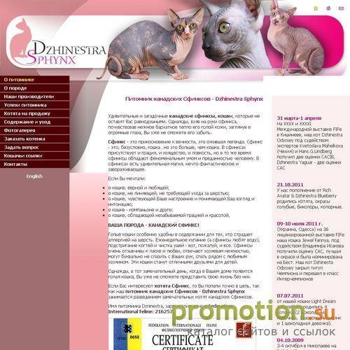 Архивное изображение: Питомник канадских Сфинксов - Dzhinestra Sphynx