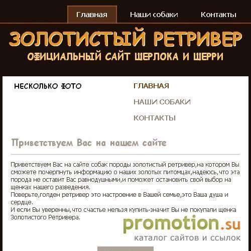 Архивное изображение: Лабрадор-ретривер. Все о лабрадорах