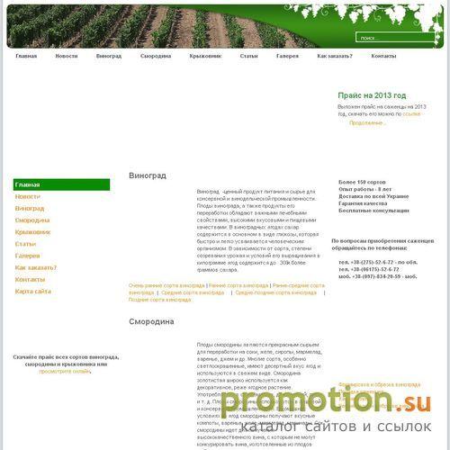 Архивное изображение: Виноград, саженцы, смородина, продажа саженцев