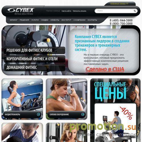 Архивное изображение: Спортивные тренажеры CYBEX