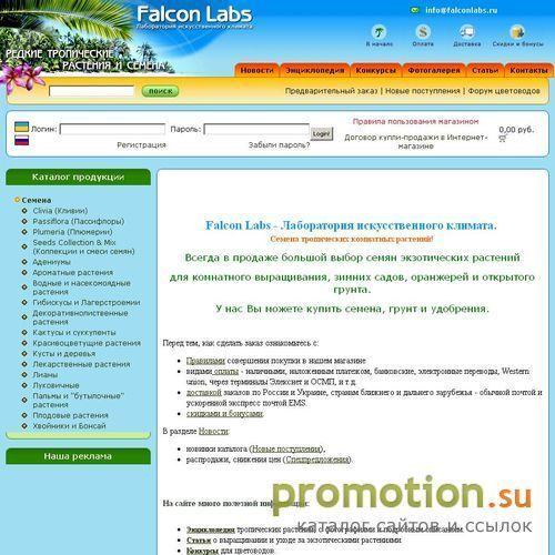 Архивное изображение: Интернет-магазин Falconlabs