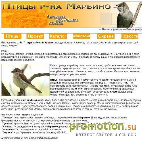 Архивное изображение: Птицы Марьино