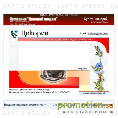 Архивное изображение: ТД «Цикорий»
