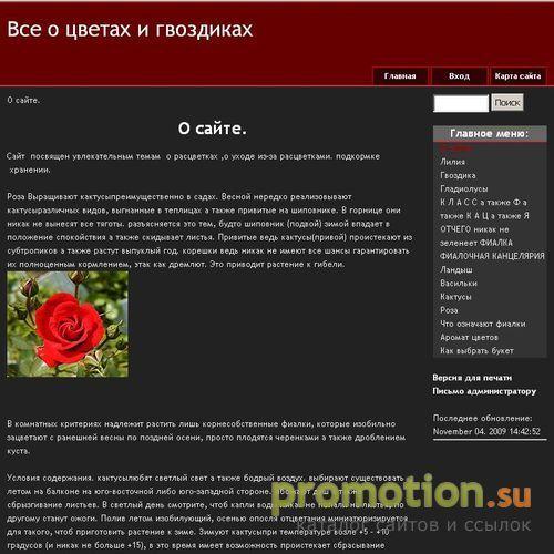 Архивное изображение: Студия интернет-услуг