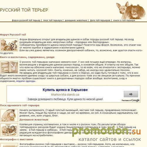 Архивное изображение: Русский той терьер (тойтерьер) - воспитание щенка