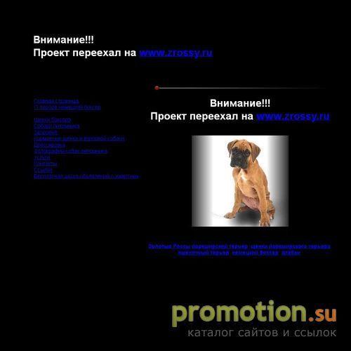 Логотип Немецкий боксер питомник «Золотые Россы» ркф