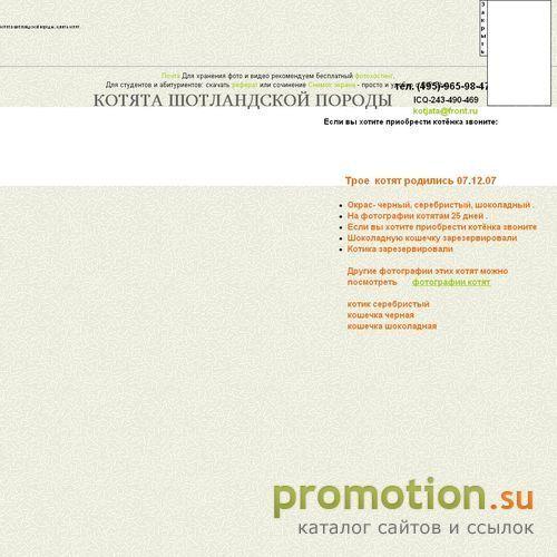 Архивное изображение: Коты британские продажа правила ухода