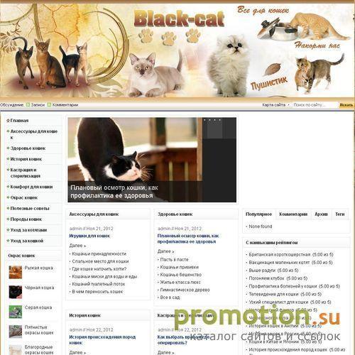 Архивное изображение: Кошки, коты, котята. Объявления о продаже котят