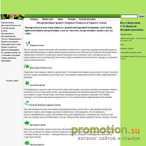 Логотип Боровая матка ,Красная щетка.