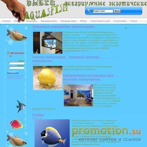 Архивное изображение: Мажор - магазин интересной одежды
